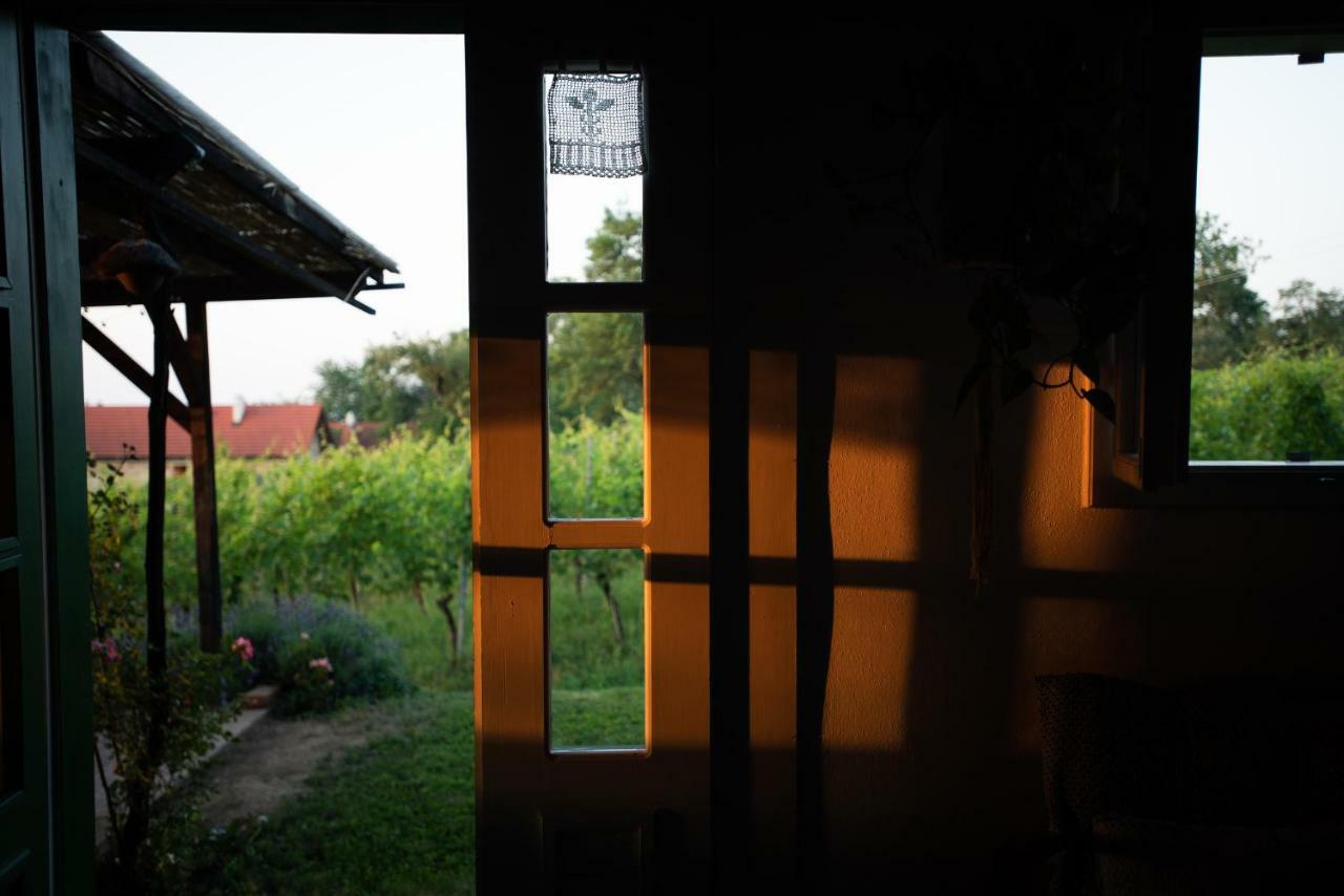 Weingarten Lodge Winten  Exteriér fotografie