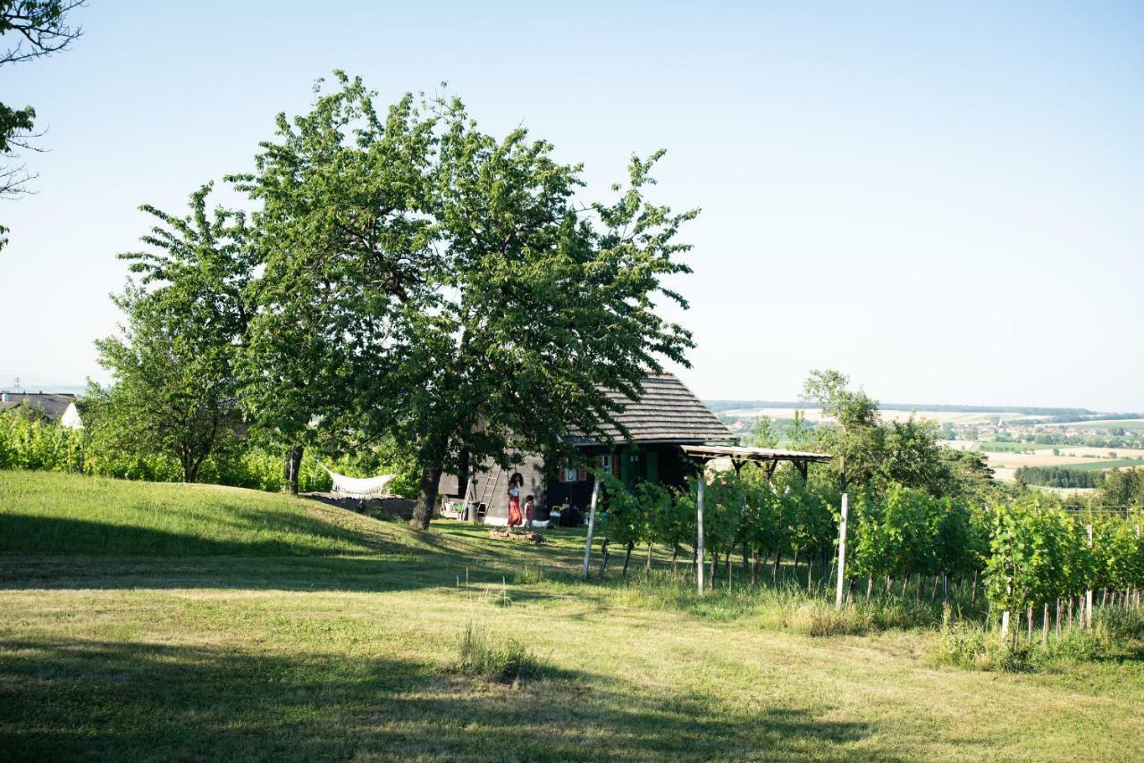 Weingarten Lodge Winten  Exteriér fotografie